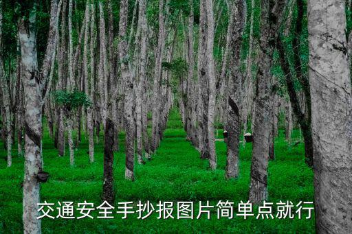 交通安全手抄報圖片簡單點(diǎn)就行