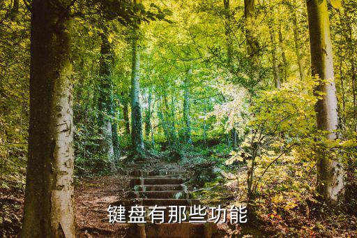 電腦鍵盤的功能，鍵盤所有的功能