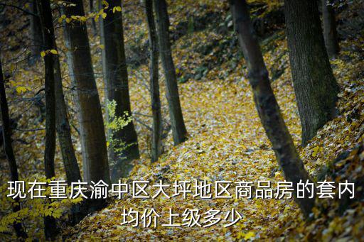 現(xiàn)在重慶渝中區(qū)大坪地區(qū)商品房的套內(nèi)均價(jià)上級(jí)多少