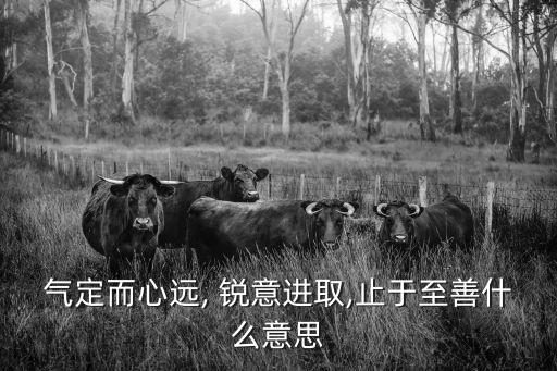 氣定而心遠, 銳意進取,止于至善什么意思