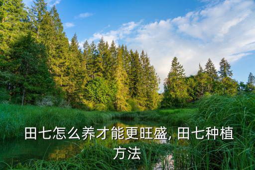  田七怎么養才能更旺盛, 田七種植方法
