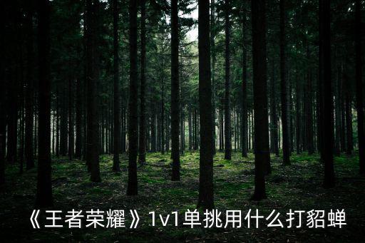 怎么打貂蟬,丟西姆故事打消耗戰(zhàn)需要靈活技能配合