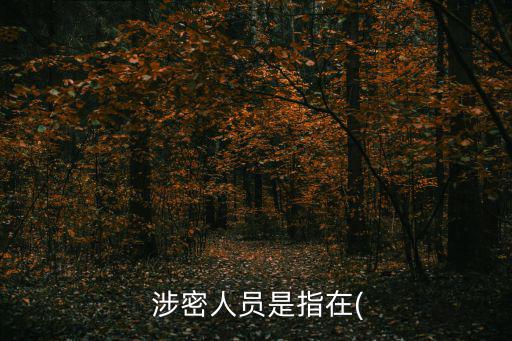  涉密人員是指在(