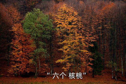 “ 六個 核桃”