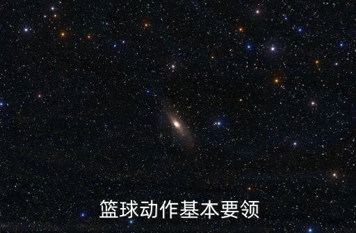  籃球動作基本要領