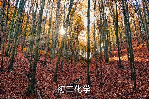 初三化學(xué)