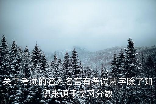 關(guān)于考試的名人名言有考試兩字除了知識來源于學(xué)習(xí)分?jǐn)?shù)