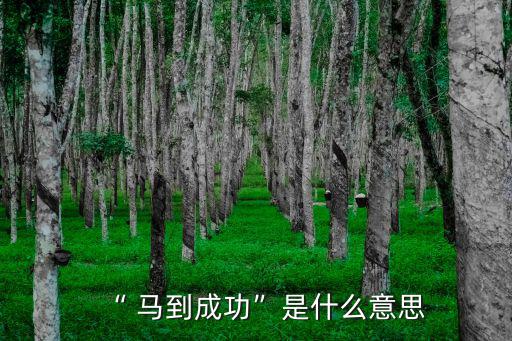“ 馬到成功”是什么意思
