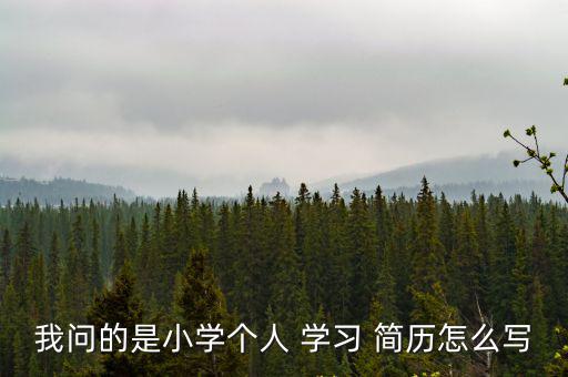 我問的是小學個人 學習 簡歷怎么寫