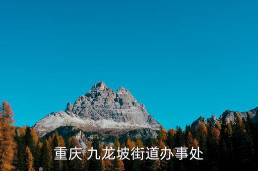 重慶 九龍坡街道辦事處