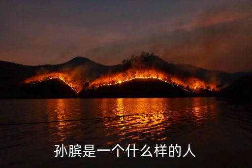 sunbin,孫臏的同學(xué)龐涓受傷殘疾