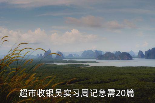超市收銀員實習周記急需20篇