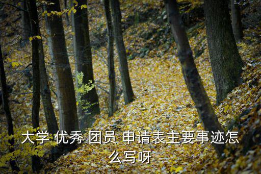 大學(xué) 優(yōu)秀 團(tuán)員 申請(qǐng)表主要事跡怎么寫呀