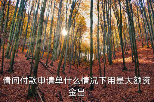 請(qǐng)問(wèn)付款申請(qǐng)單什么情況下用是大額資金出