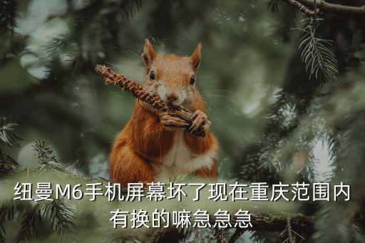 重慶市涪陵區(qū)能換手機(jī)屏幕的有哪些，紐曼M6手機(jī)屏幕壞了現(xiàn)在重慶范圍內(nèi)有換的嘛急急急