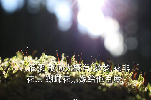 ...很柔 歌詞大概有:夢夢,花非花... 蝴蝶花,,,嫁給他百度...
