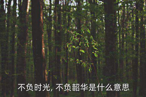 不負的意思,銳意進取，不負華少四個字