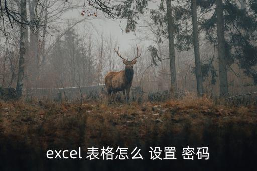 excel 表格怎么 設(shè)置 密碼