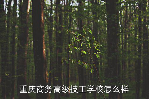 重慶商務高級技工學校怎么樣
