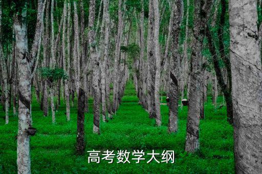 高考數學大綱