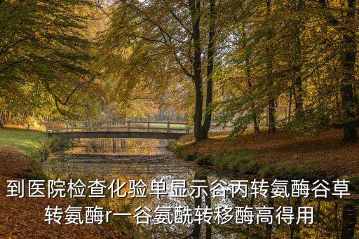 到醫院檢查化驗單顯示谷丙轉氨酶谷草轉氨酶r一谷氨酰轉移酶高得用