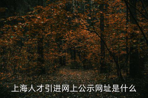 上海人才引進網上公示網址是什么