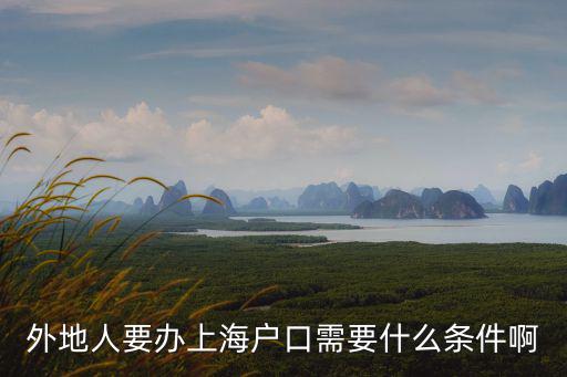 外地人要辦上海戶口需要什么條件啊