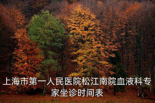 上海市第一人民醫(yī)院松江南院血液科專家坐診時間表
