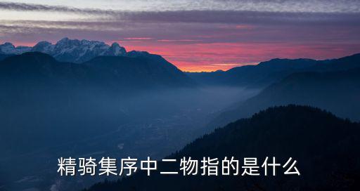 精騎集序中二物指的是什么