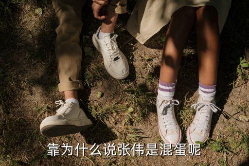 靠為什么說張偉是混蛋呢