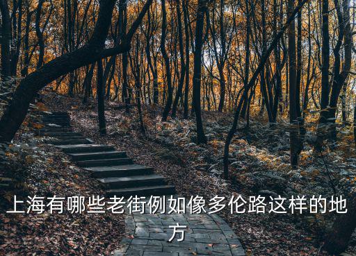 上海有哪些老街例如像多倫路這樣的地方