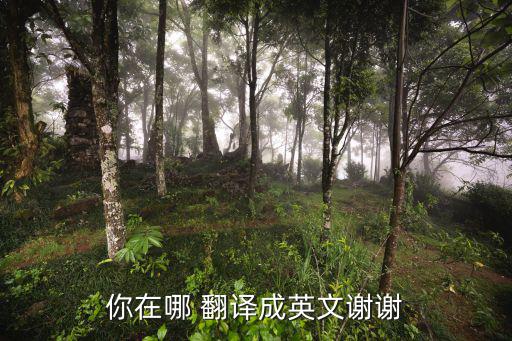 你在哪 翻譯成英文謝謝
