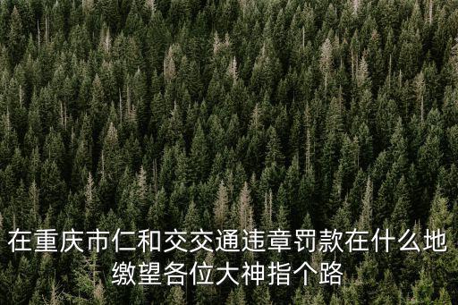 在重慶市仁和交交通違章罰款在什么地繳望各位大神指個路
