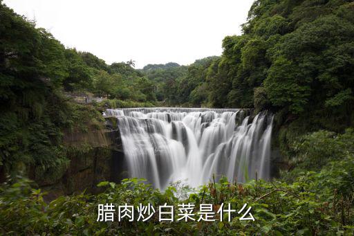 臘肉炒白菜，臘肉炒白菜是什么