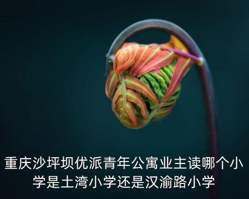 重慶沙坪壩優(yōu)派青年公寓業(yè)主讀哪個小學(xué)是土灣小學(xué)還是漢渝路小學(xué)