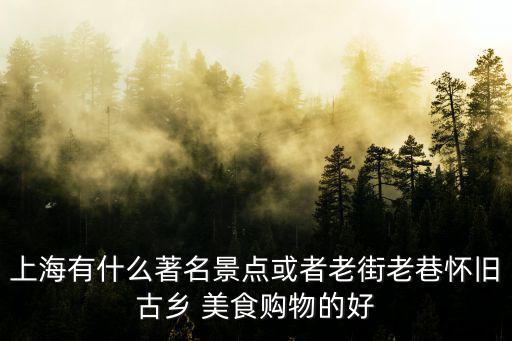 上海有什么著名景點(diǎn)或者老街老巷懷舊古鄉(xiāng) 美食購物的好