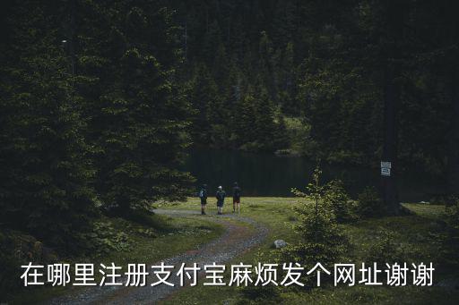 在哪里注冊支付寶麻煩發(fā)個(gè)網(wǎng)址謝謝