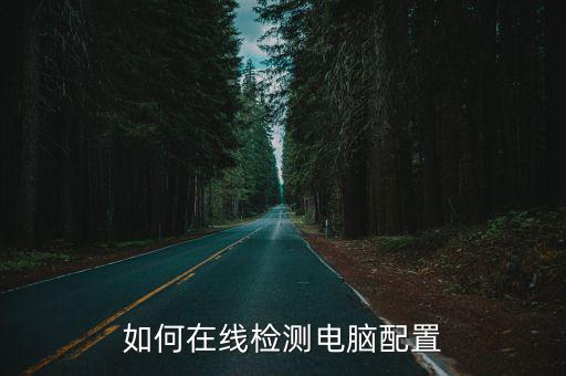 如何在線(xiàn)檢測(cè)電腦配置