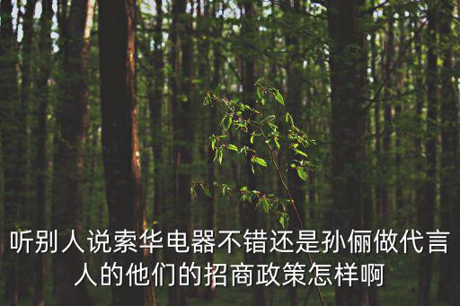聽別人說索華電器不錯(cuò)還是孫儷做代言人的他們的招商政策怎樣啊