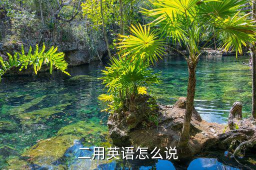 第二用英語怎么說，二用英語怎么說