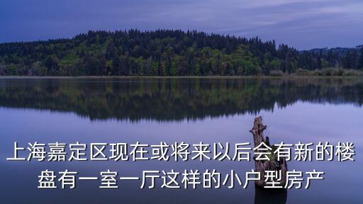 上海嘉定區現在或將來以后會有新的樓盤有一室一廳這樣的小戶型房產