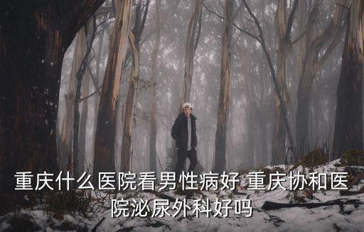 重慶什么醫(yī)院看男性病好 重慶協(xié)和醫(yī)院泌尿外科好嗎