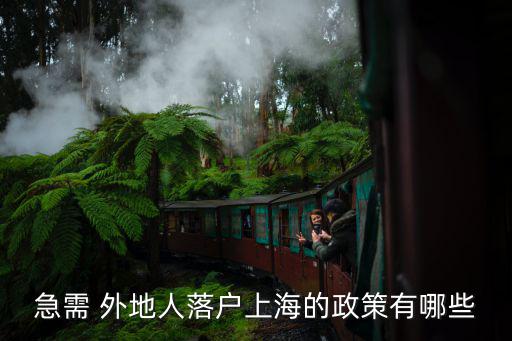 急需 外地人落戶上海的政策有哪些