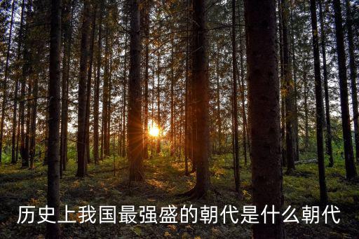 歷史上我國最強盛的朝代是什么朝代