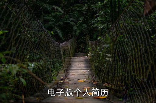 電子版個人簡歷