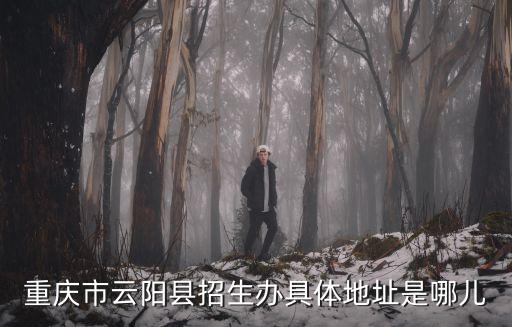 重慶市云陽(yáng)縣招生辦具體地址是哪兒