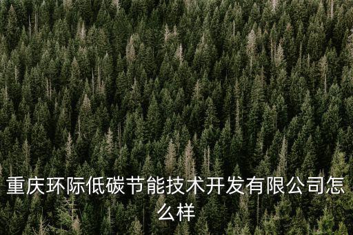 重慶環(huán)際低碳節(jié)能技術開發(fā)有限公司怎么樣