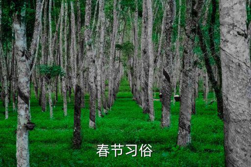 春節(jié)習(xí)俗