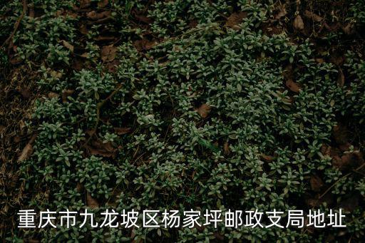 重慶市九龍坡區(qū)楊家坪郵政支局地址