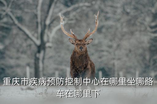 重慶市疾病預(yù)防控制中心在哪里坐哪路車在哪里下